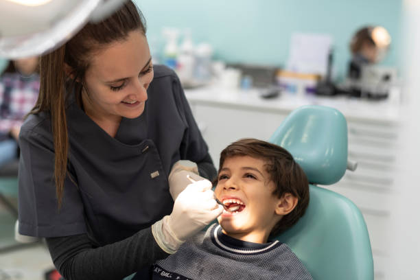 Best Emergency X-Rays and Diagnostics in Warren Af, WY